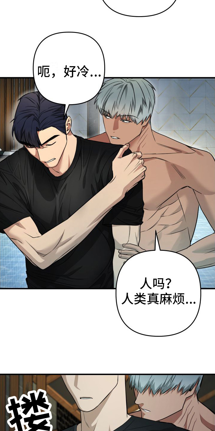 第14章：欠人情11