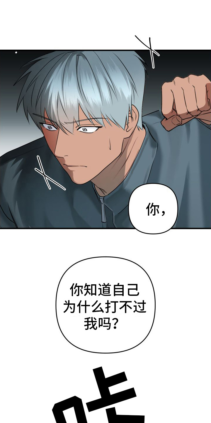 第15章：密谋12