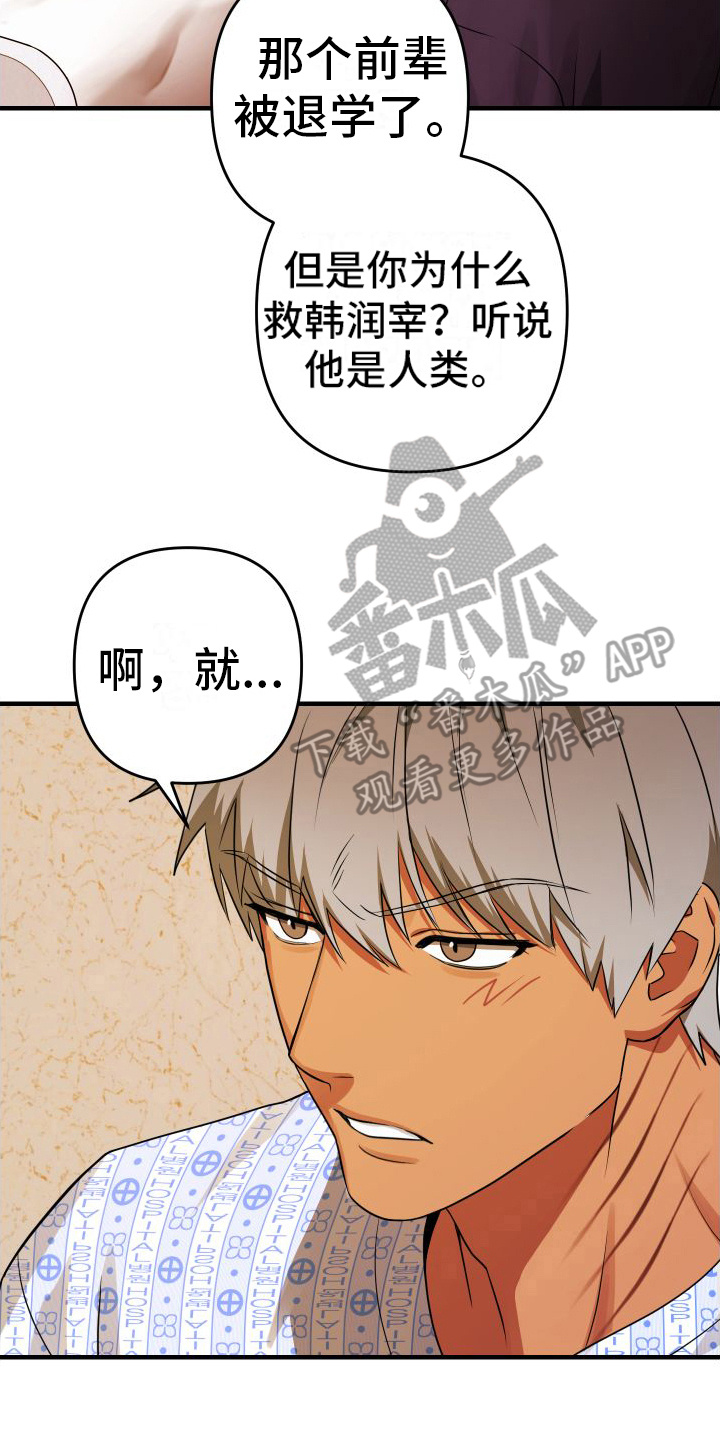 第17章：出手帮忙16