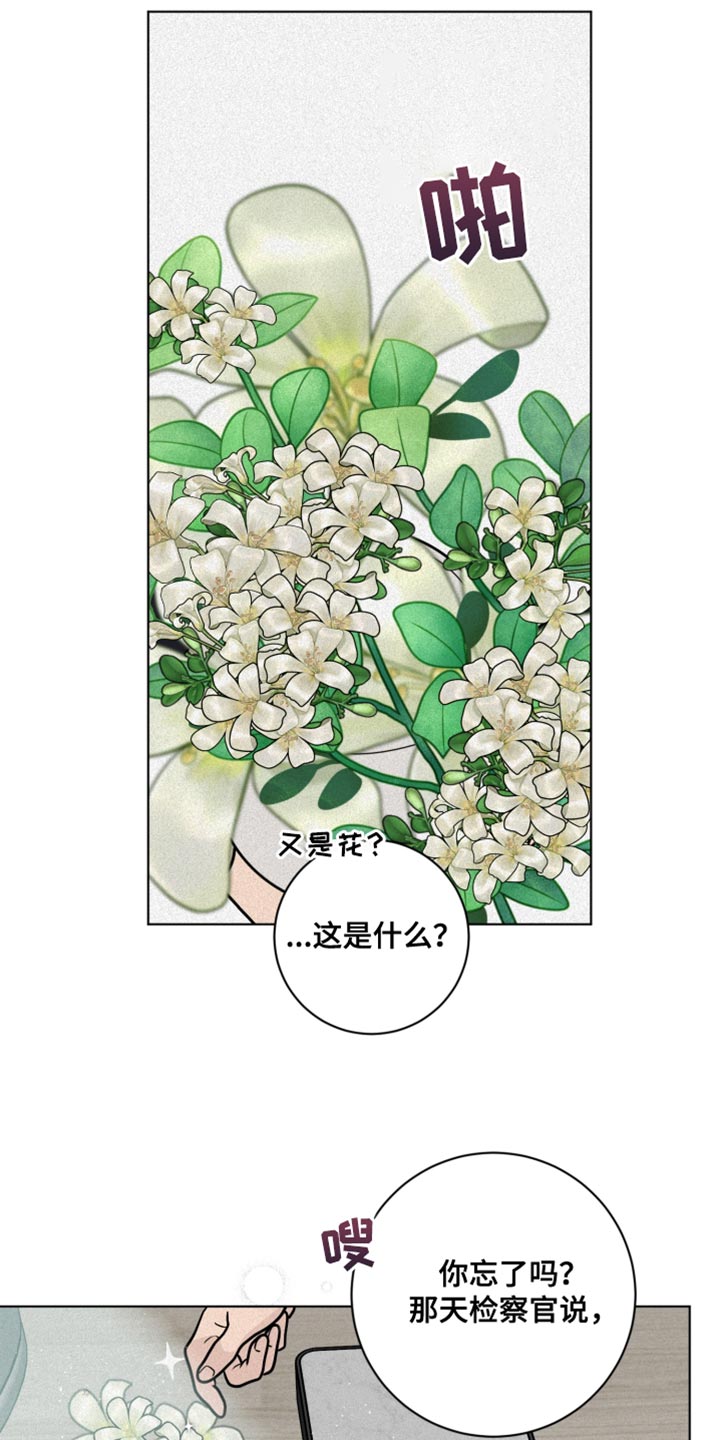 第11章：尽管相信我12