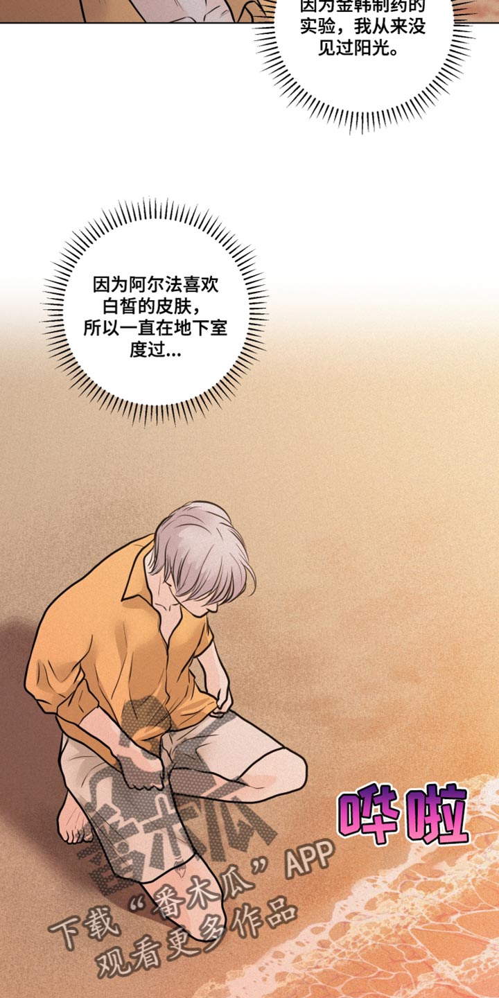 第34章：特别的夜晚10