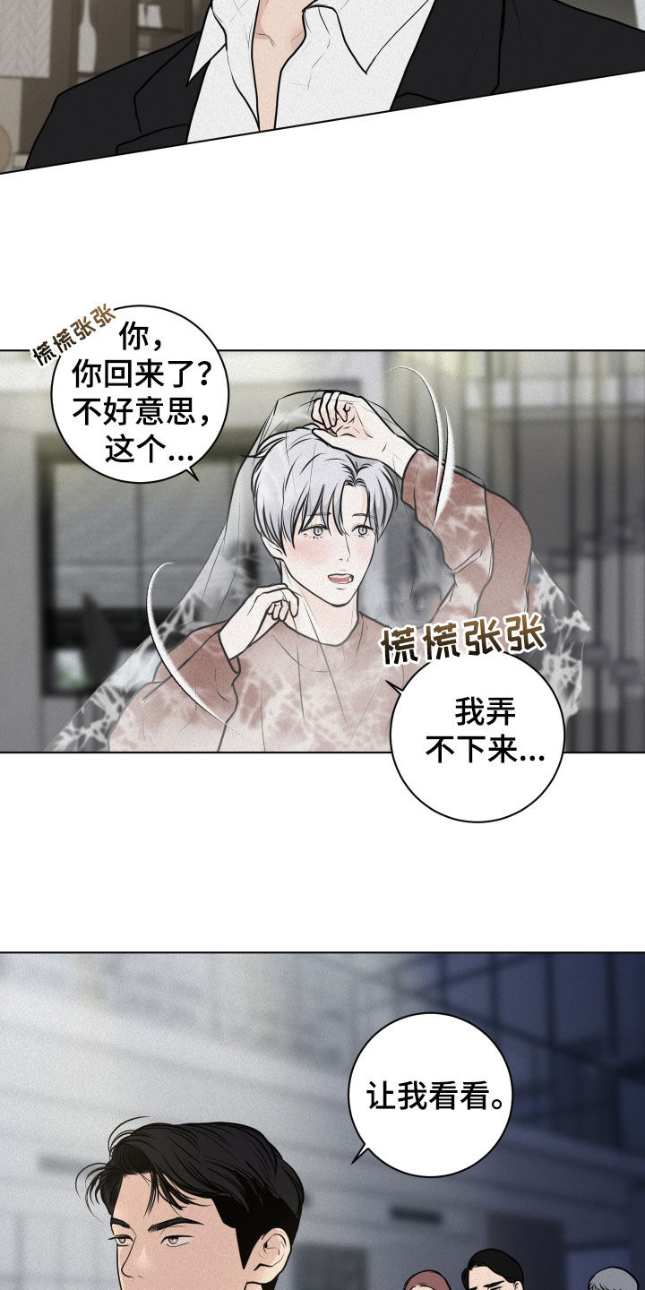 第17章：检查21
