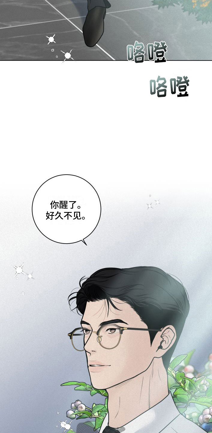 第9章：花满园20