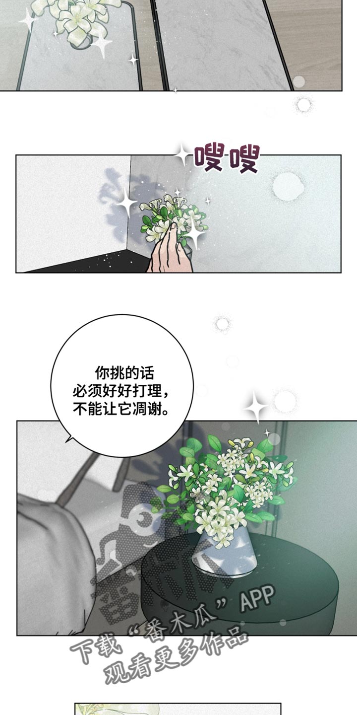 第11章：尽管相信我13