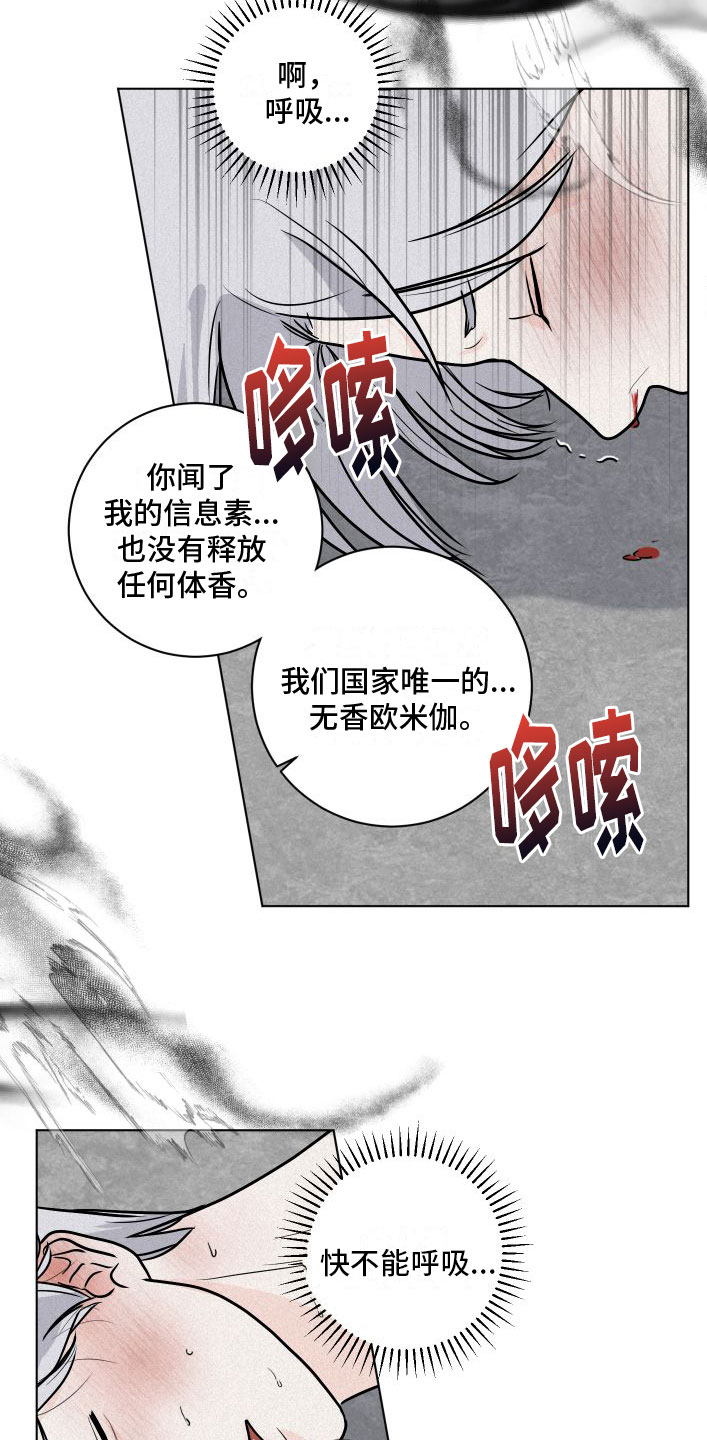 第3章：有意思10