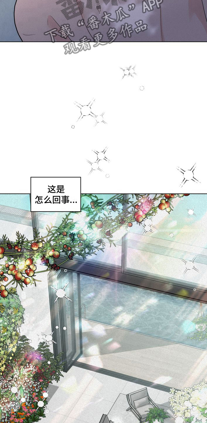 第9章：花满园16