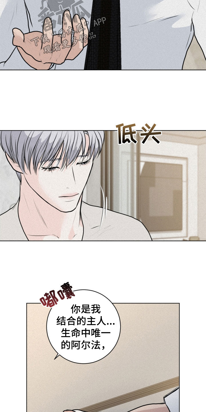 第15章：目的18