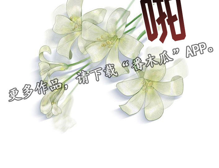 第10章：没什么不一样24