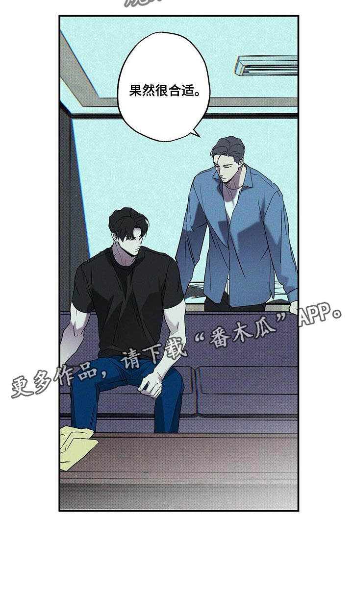 第37章：果然很合适17