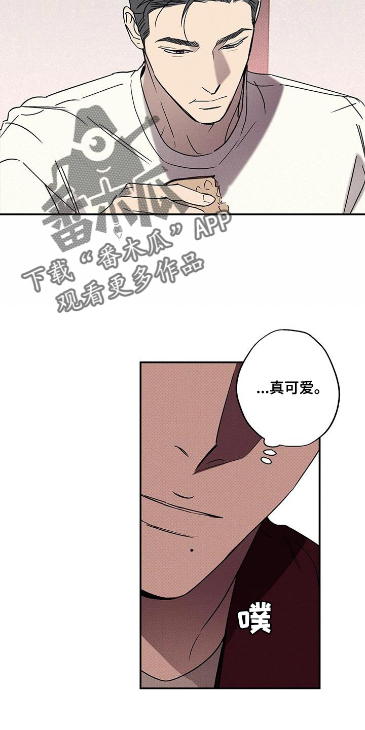 第62章：不要告诉他12