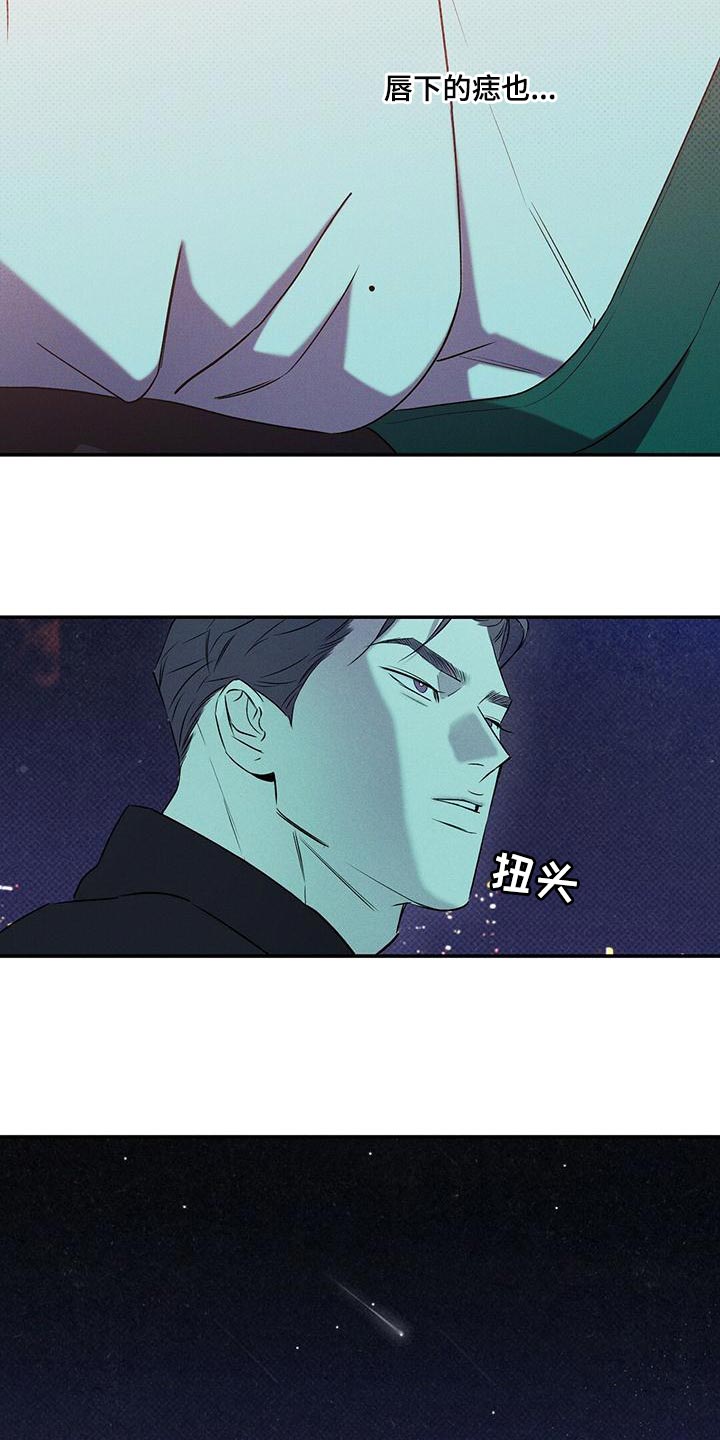第32章：忘记许愿了14