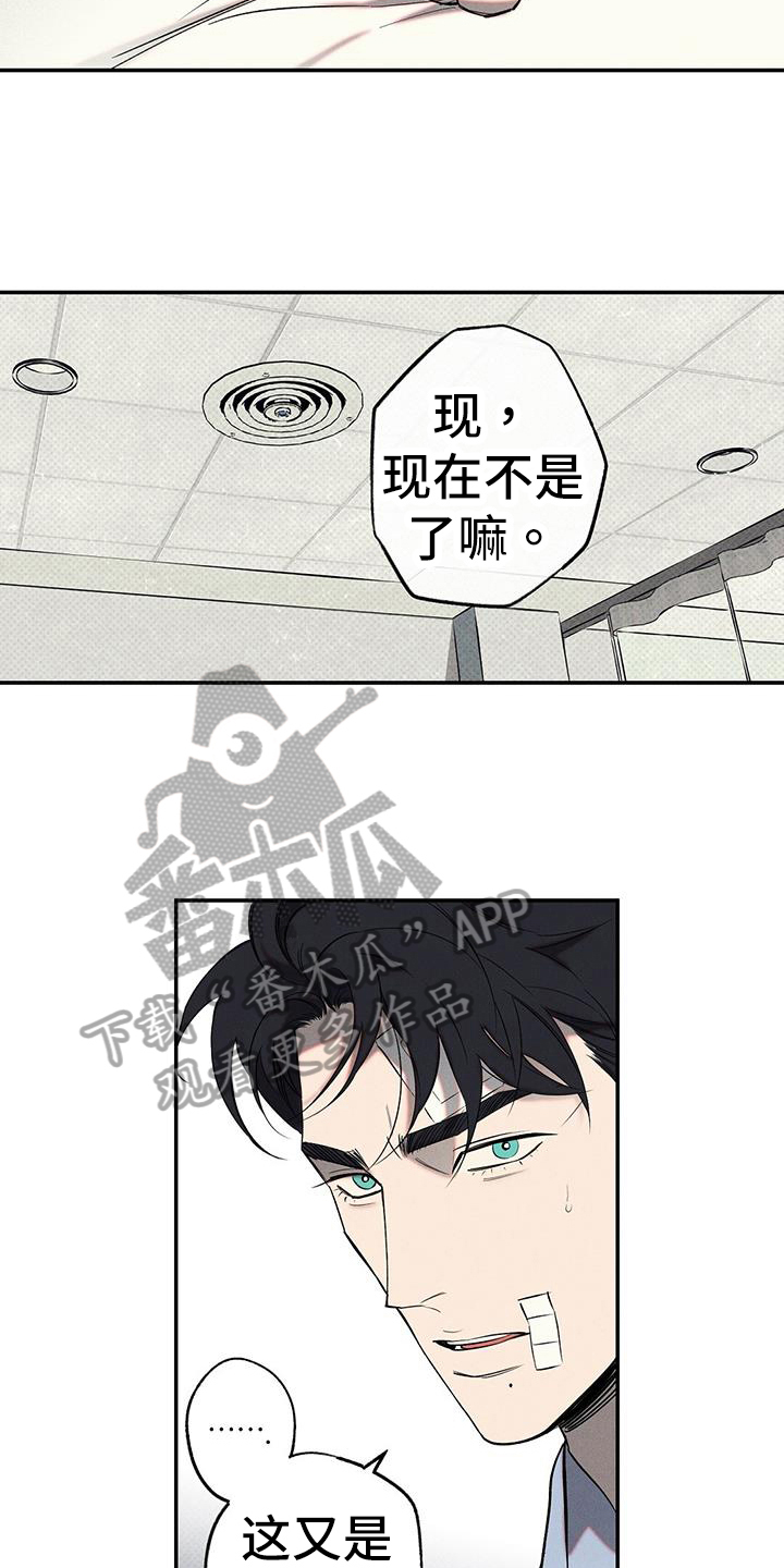 第49章：解释15