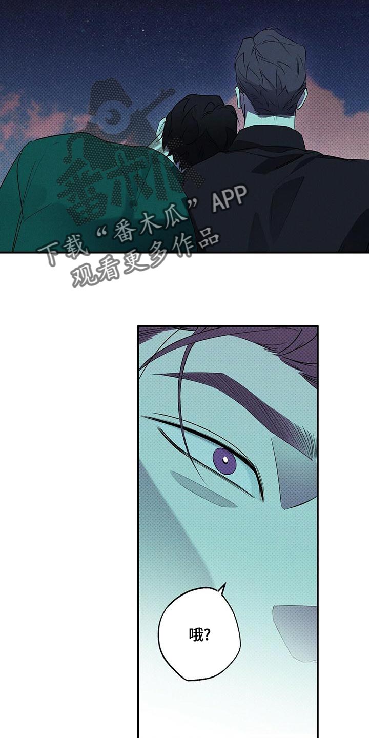 第32章：忘记许愿了15