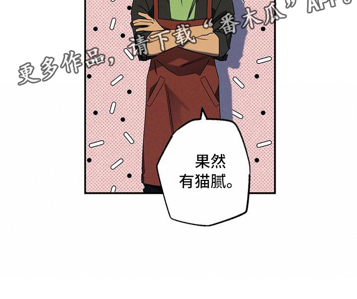 第10章：喝杯酒吧20