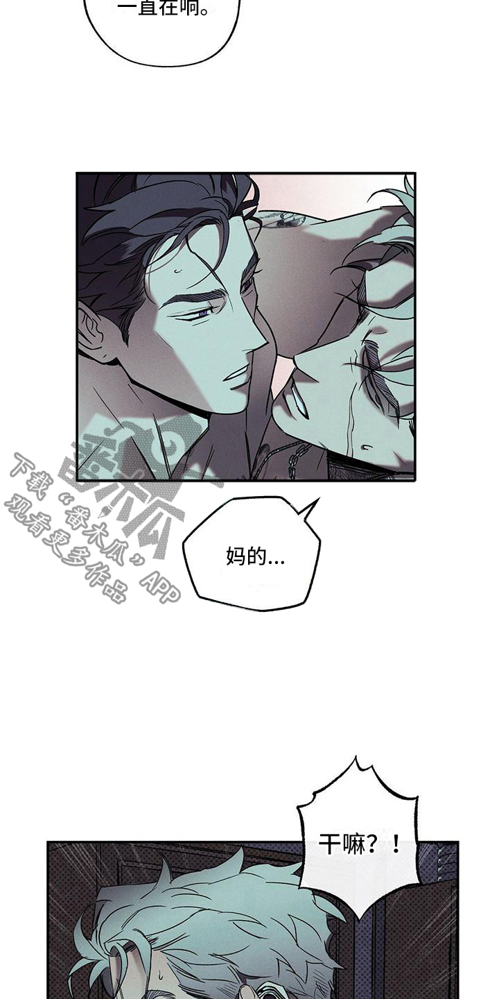 第5章：你真特别2