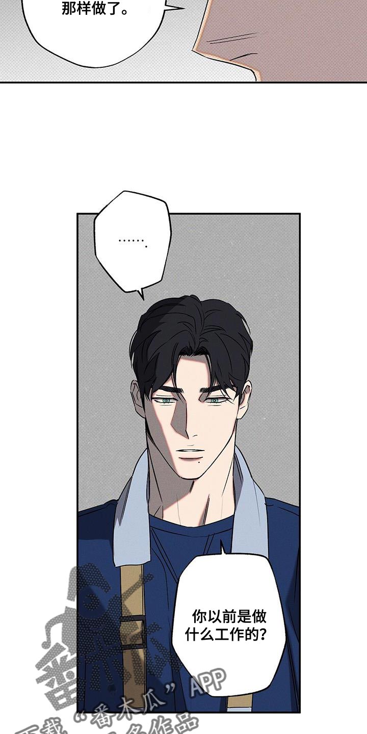 第55章：结束17