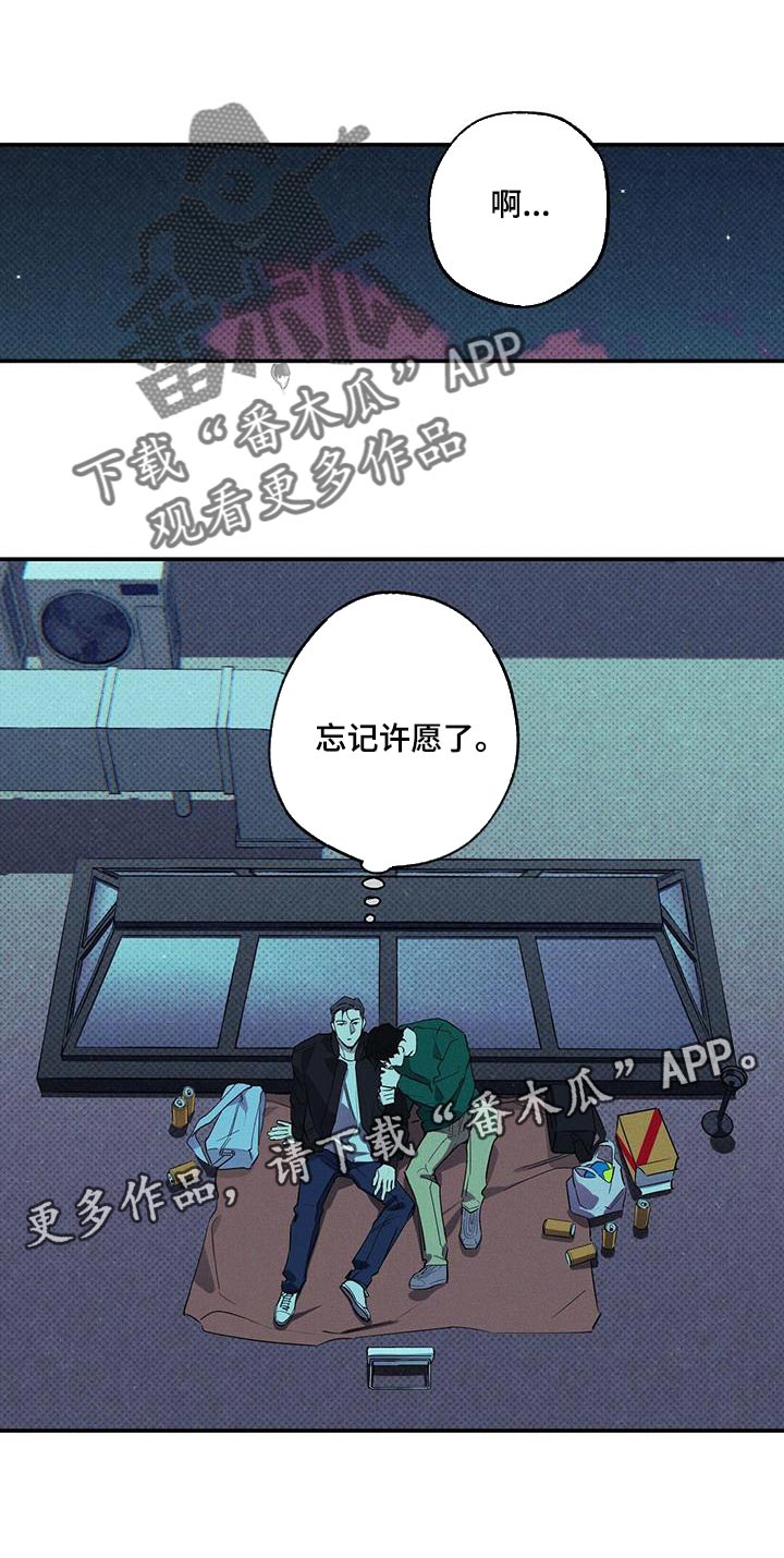 第32章：忘记许愿了18