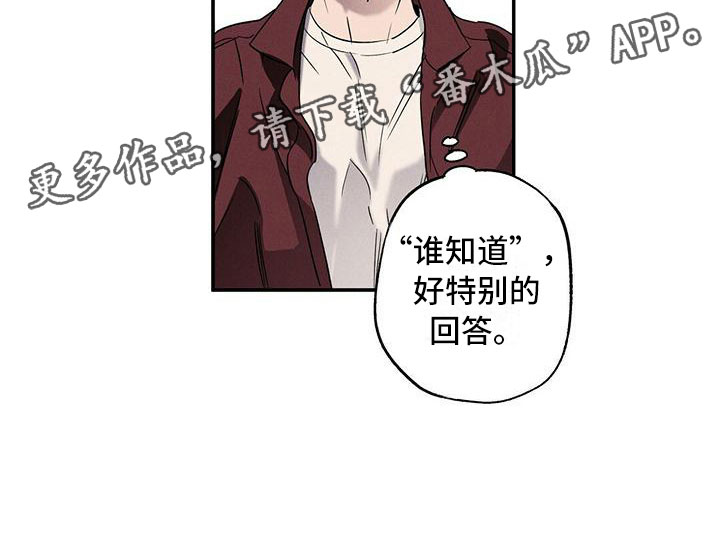 第13章：不像你了22