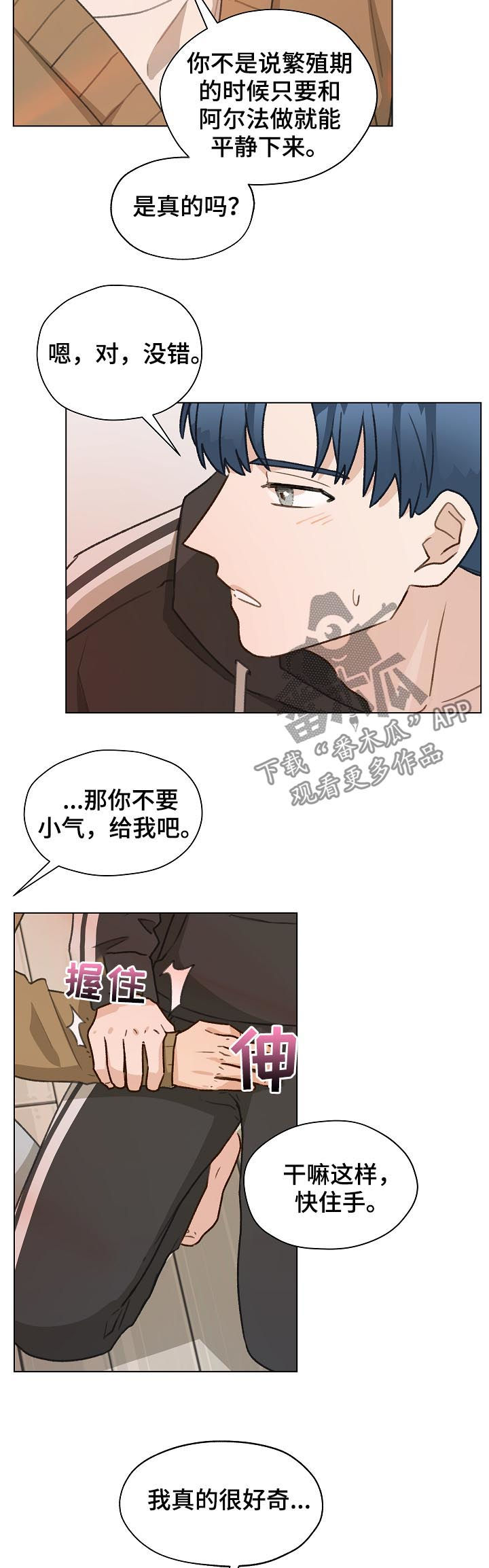 第46章：香水14
