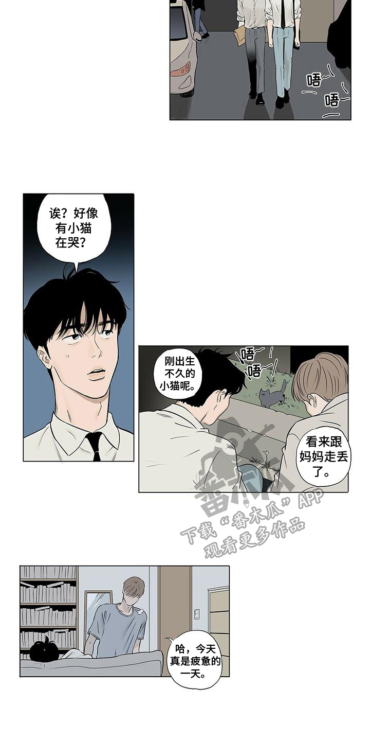 第18章：幸福就好【完结】5