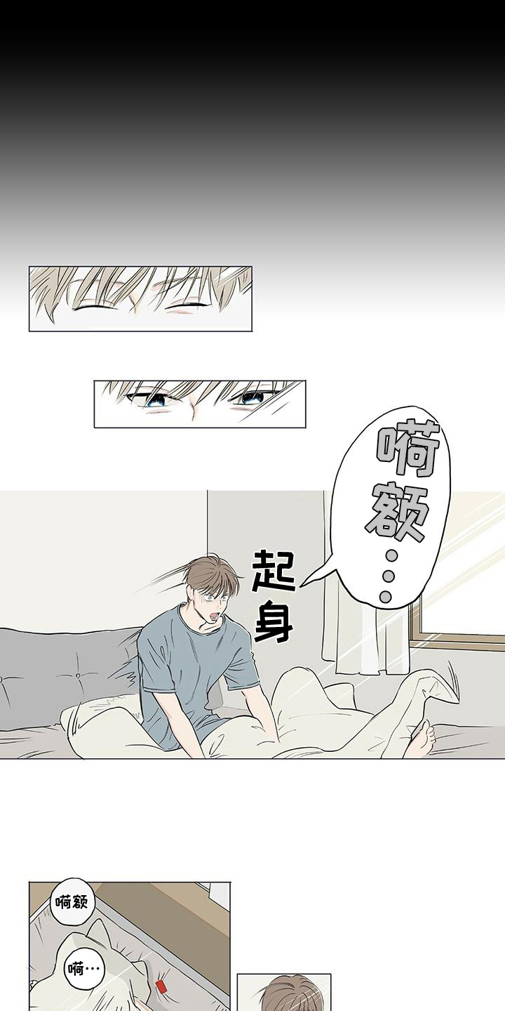 第3章：观察4