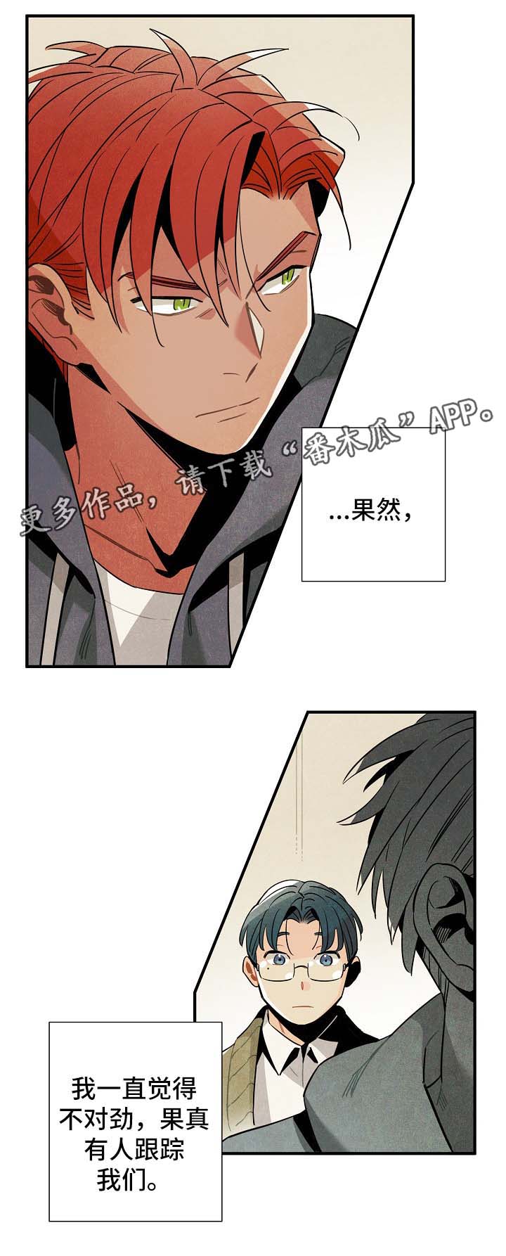 第41章：有人跟踪0