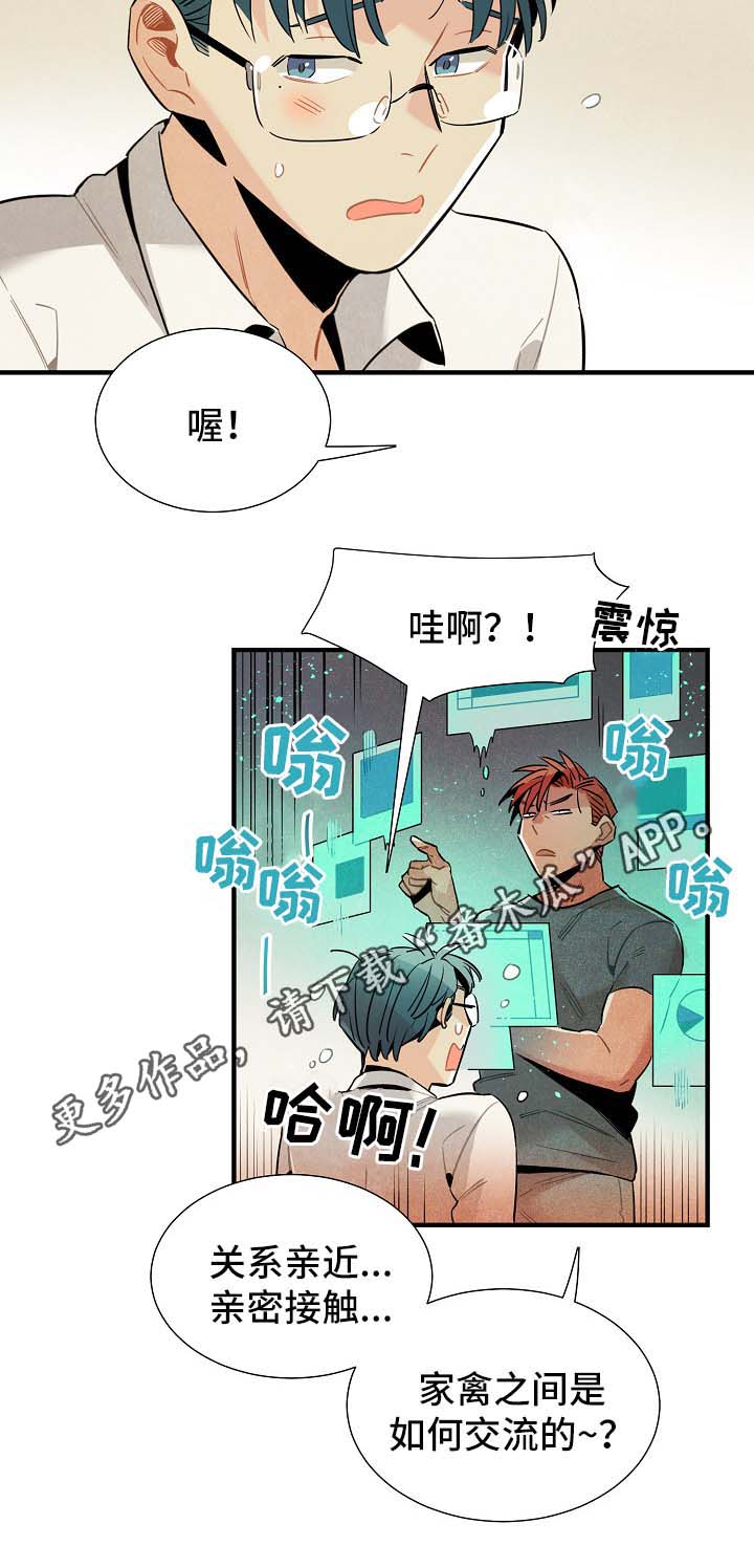 第38章：配对11