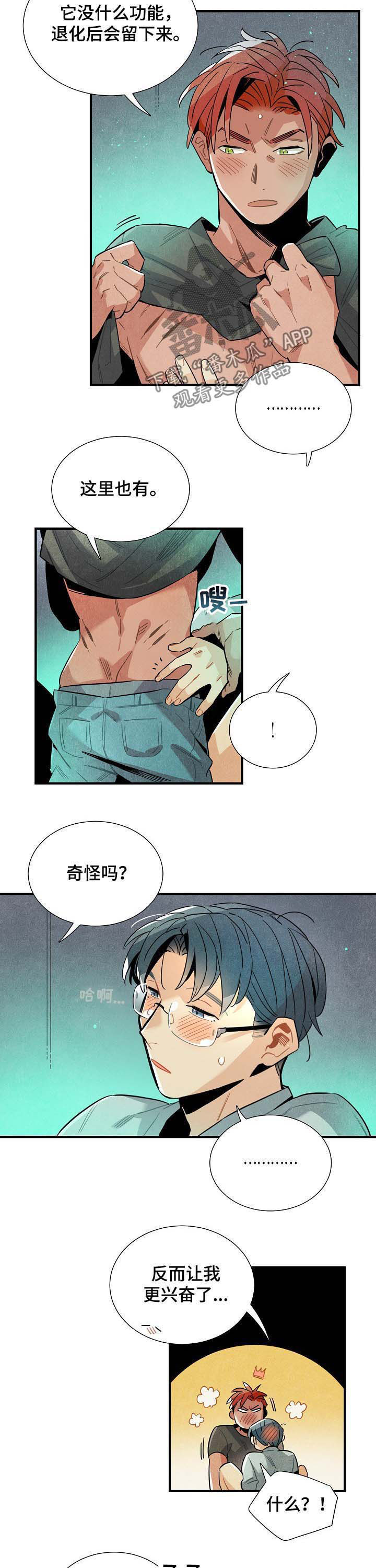 第65章：疤痕6