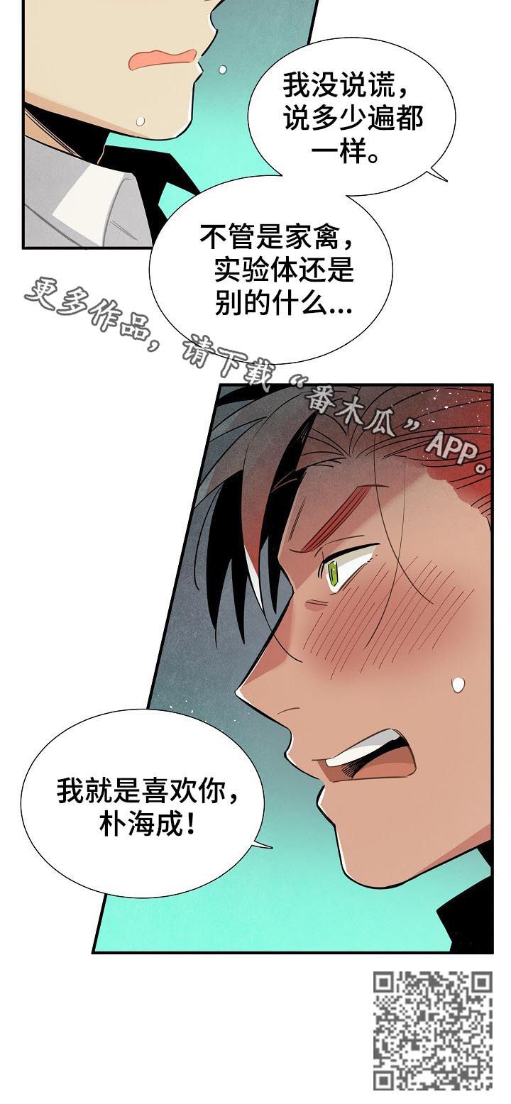 第92章：我就是喜欢你9