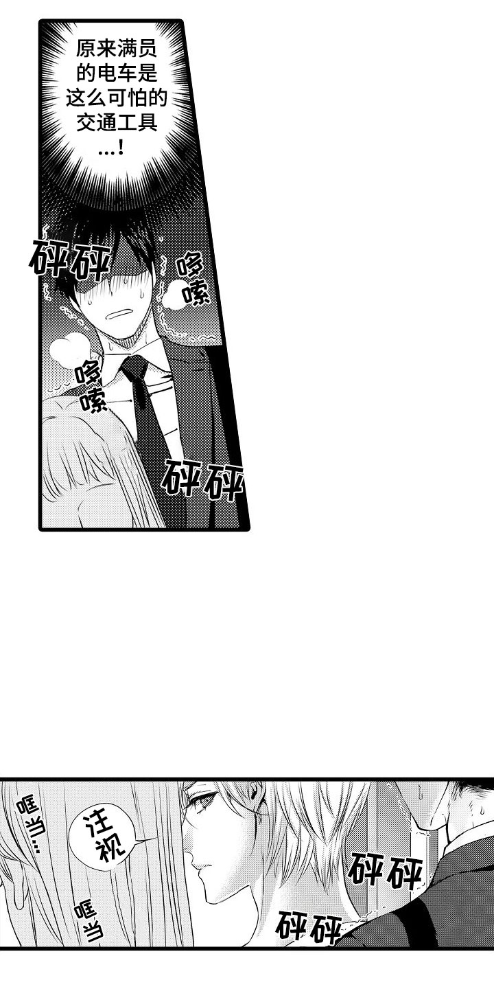 第1章：电车色狼7