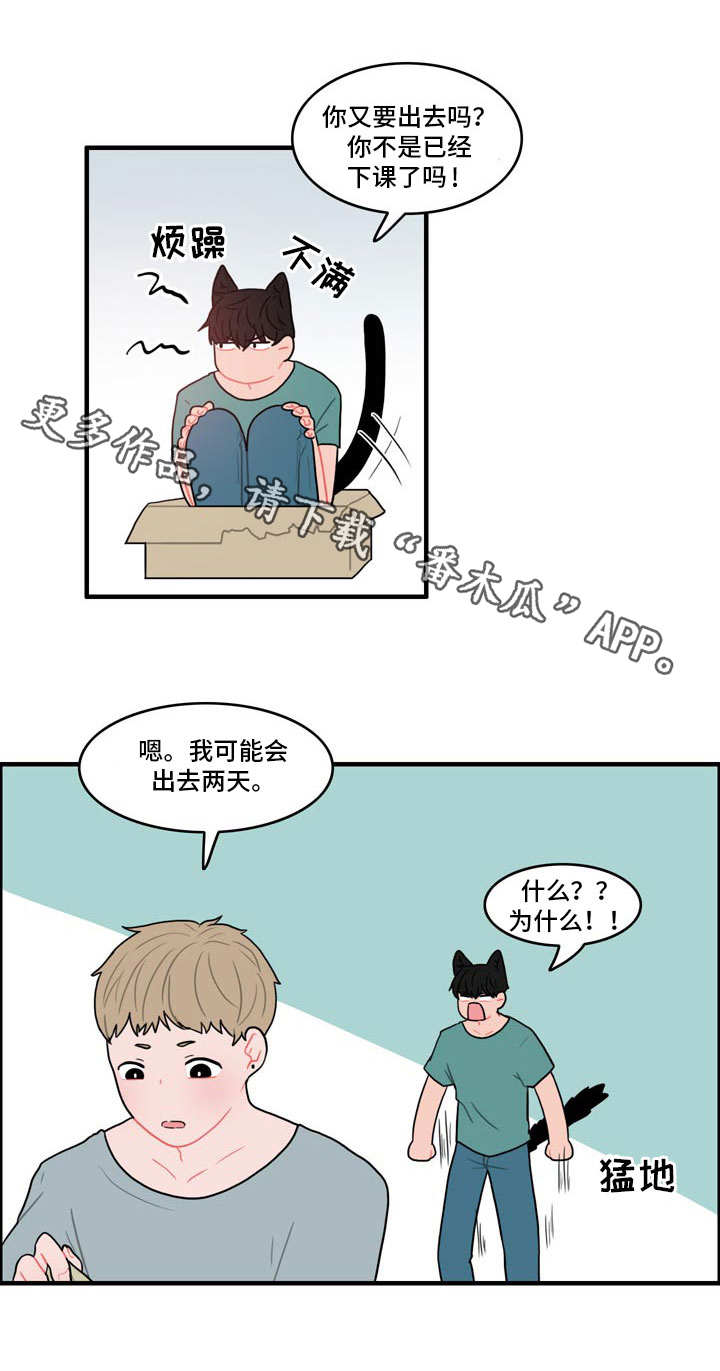 第11章：野营10