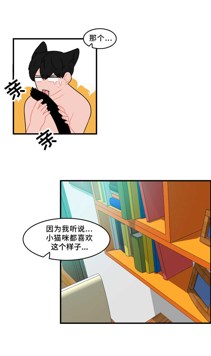 第53章：计划12
