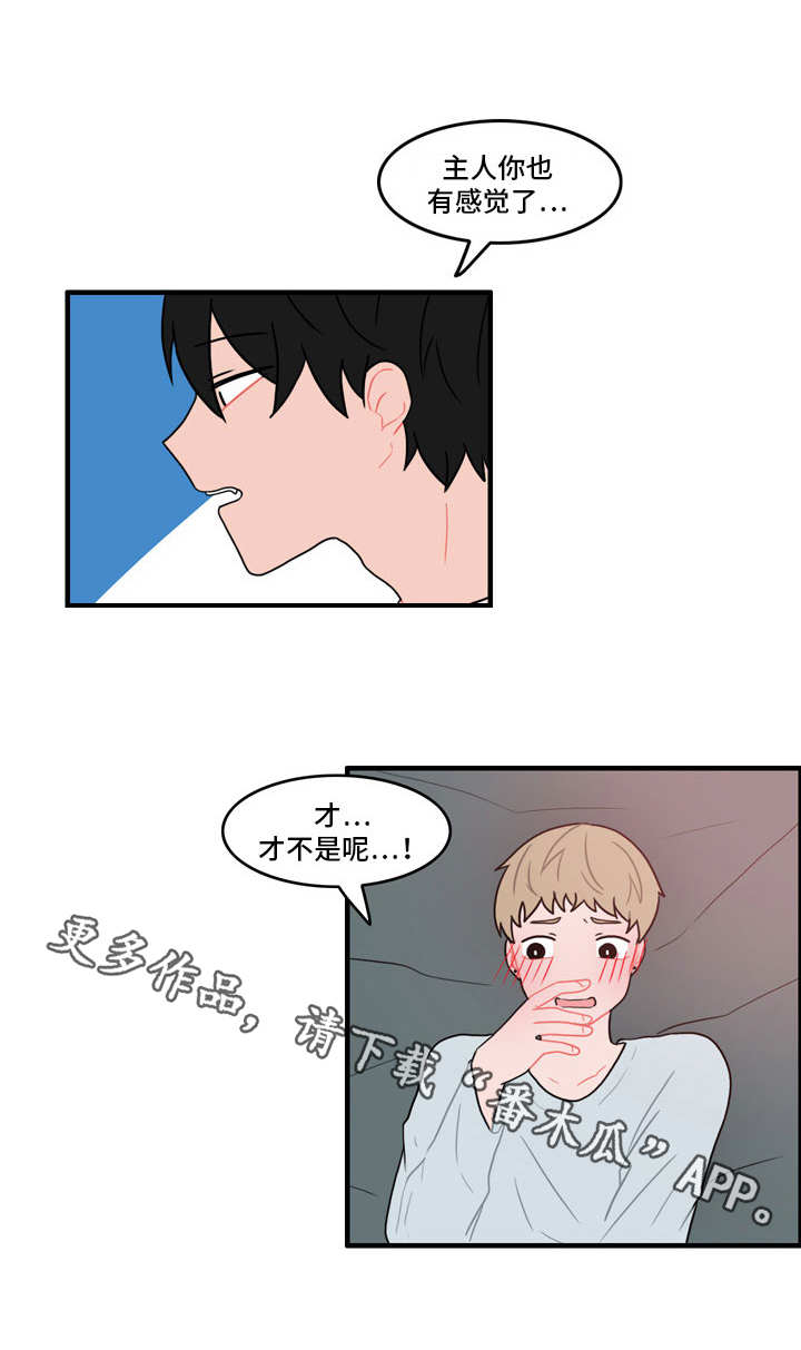 第38章：新玩法4