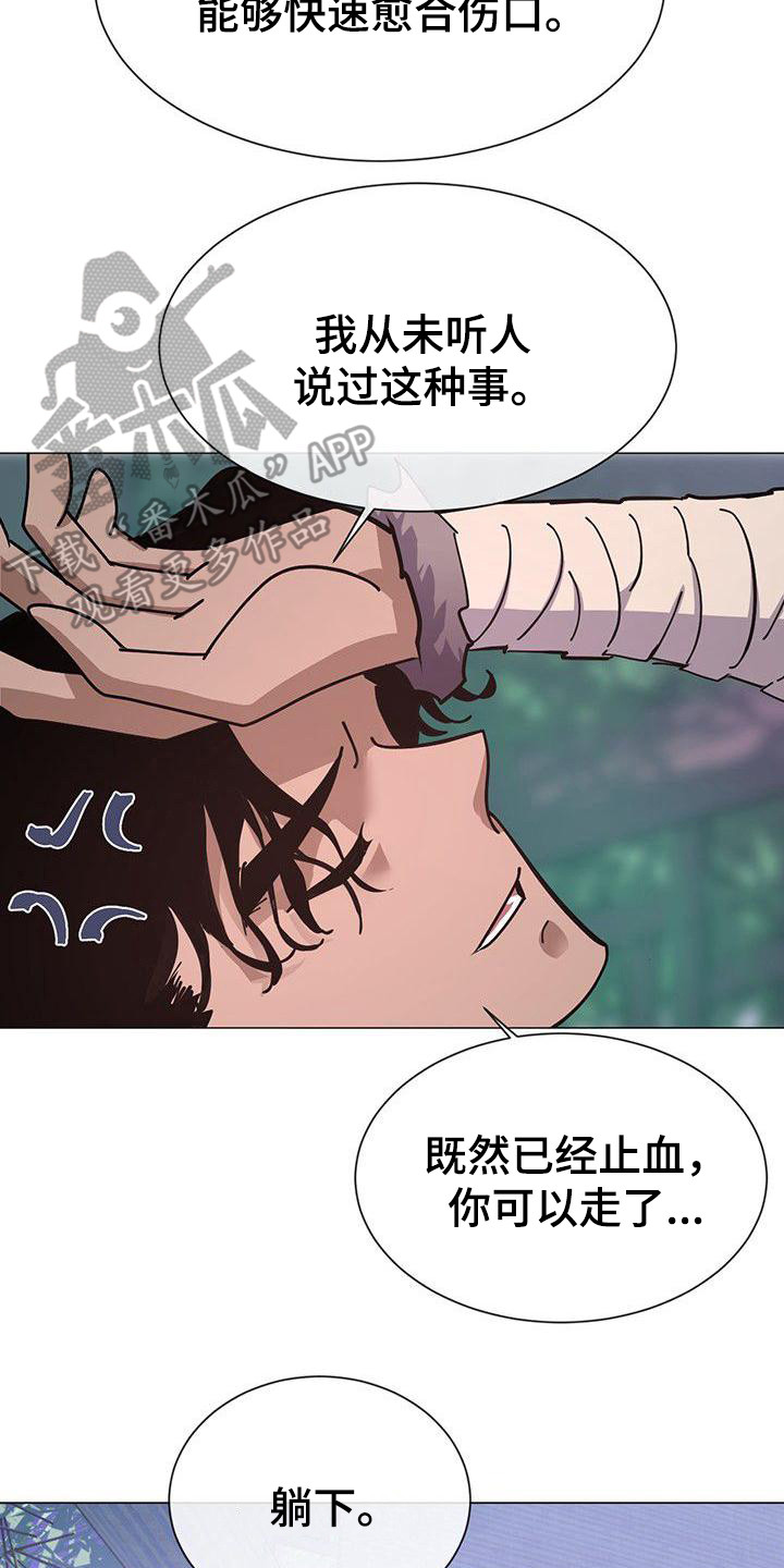 第11章：治疗伤口13