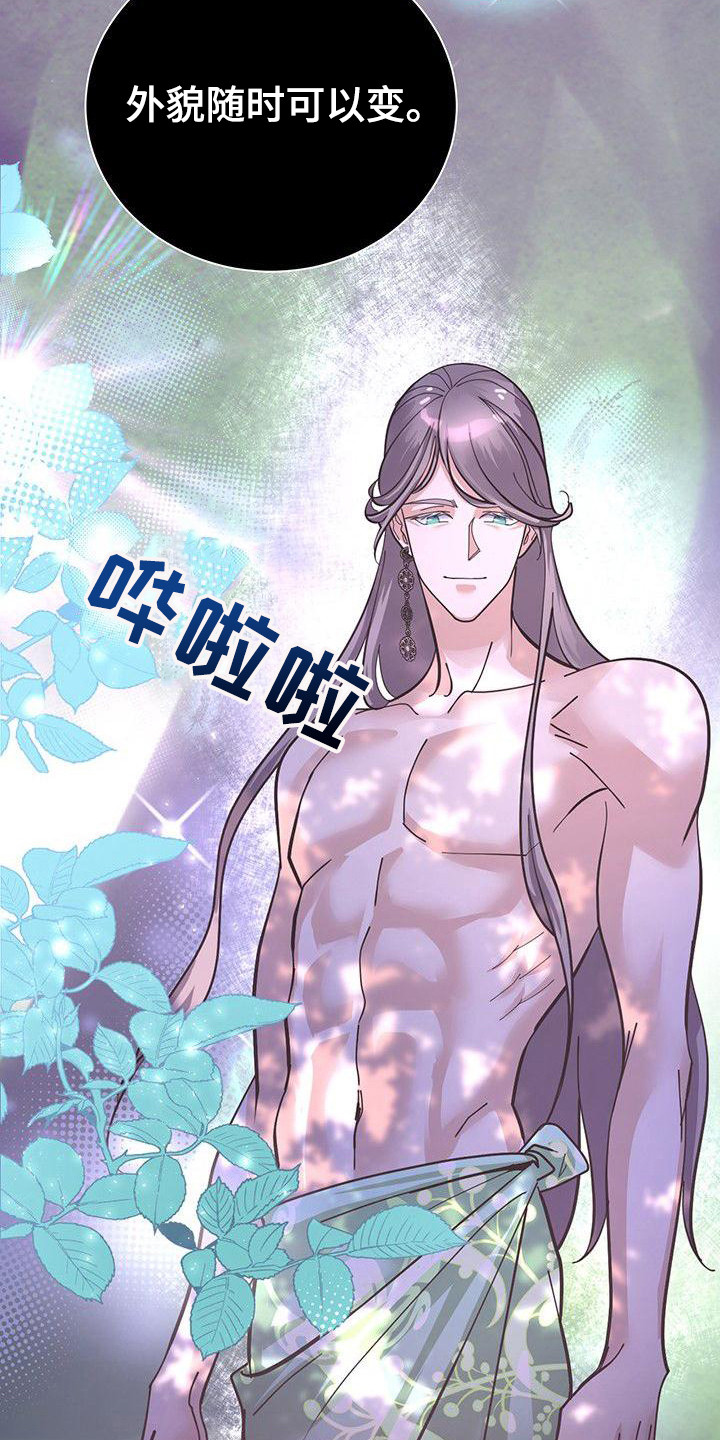 第14章：香气17