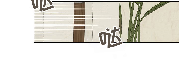 第31章：有趣20
