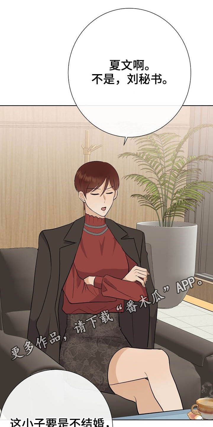 第28章：乔装0