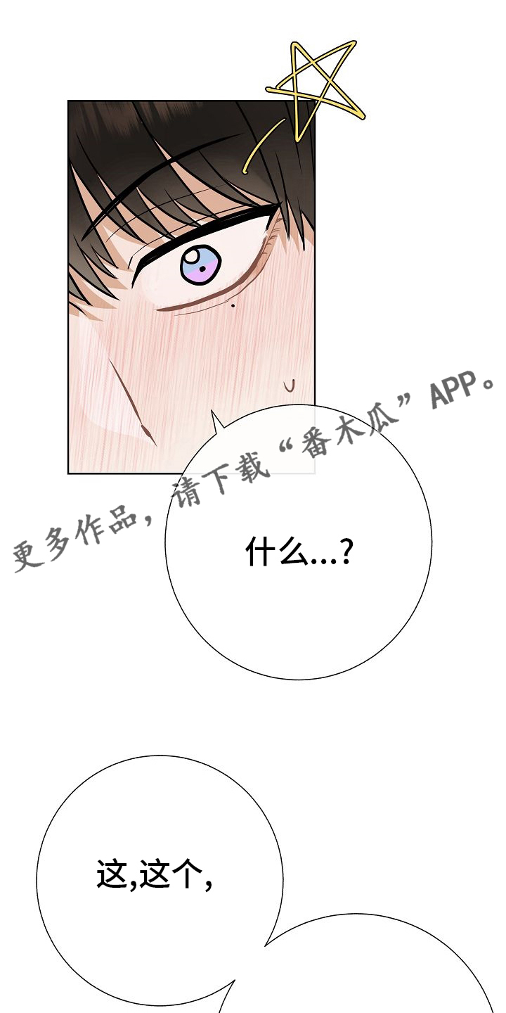 第44章：挡箭牌0