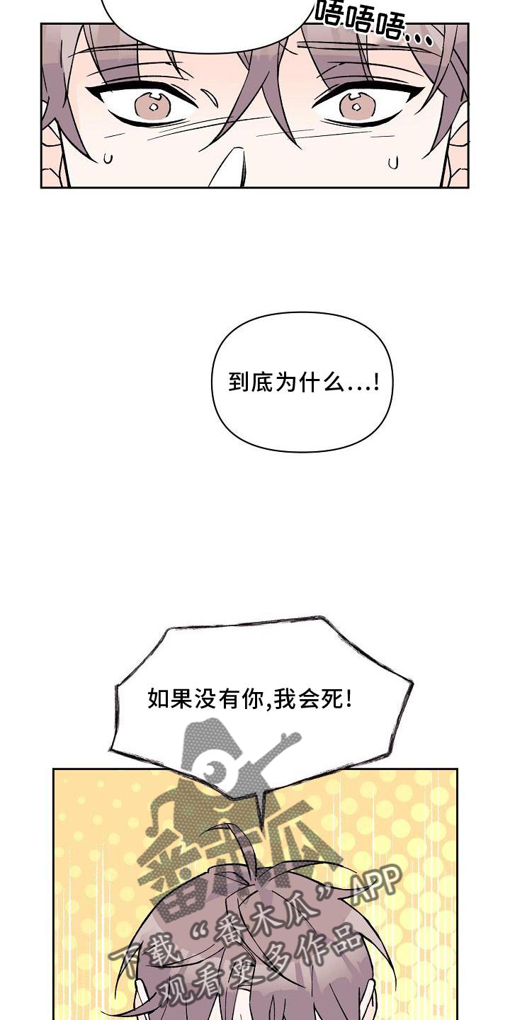 第12章：表白6