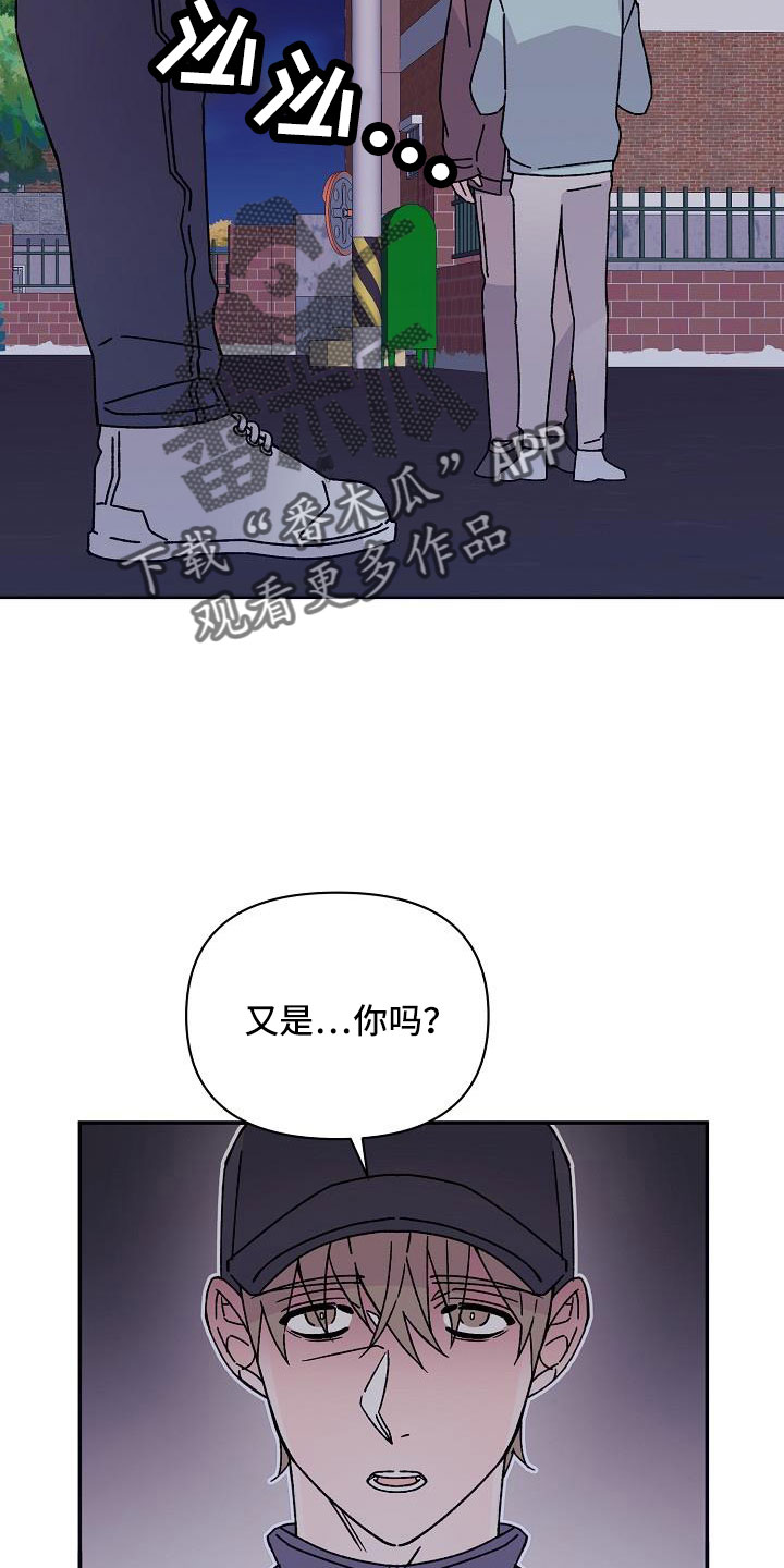 第19章：你这个傻瓜4