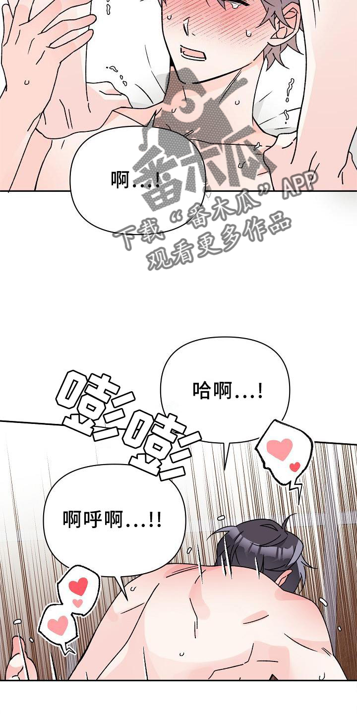 第17章：占有4