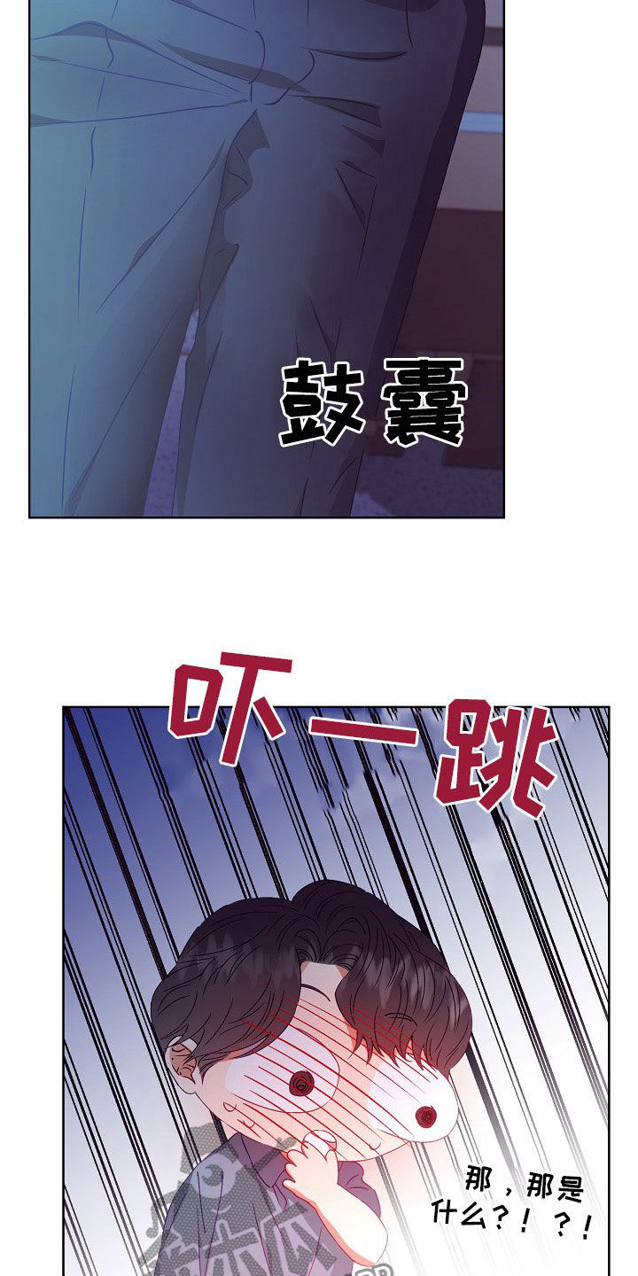 第21章：给我生孩子19