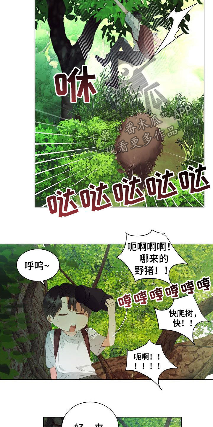 第50章：逃脱12