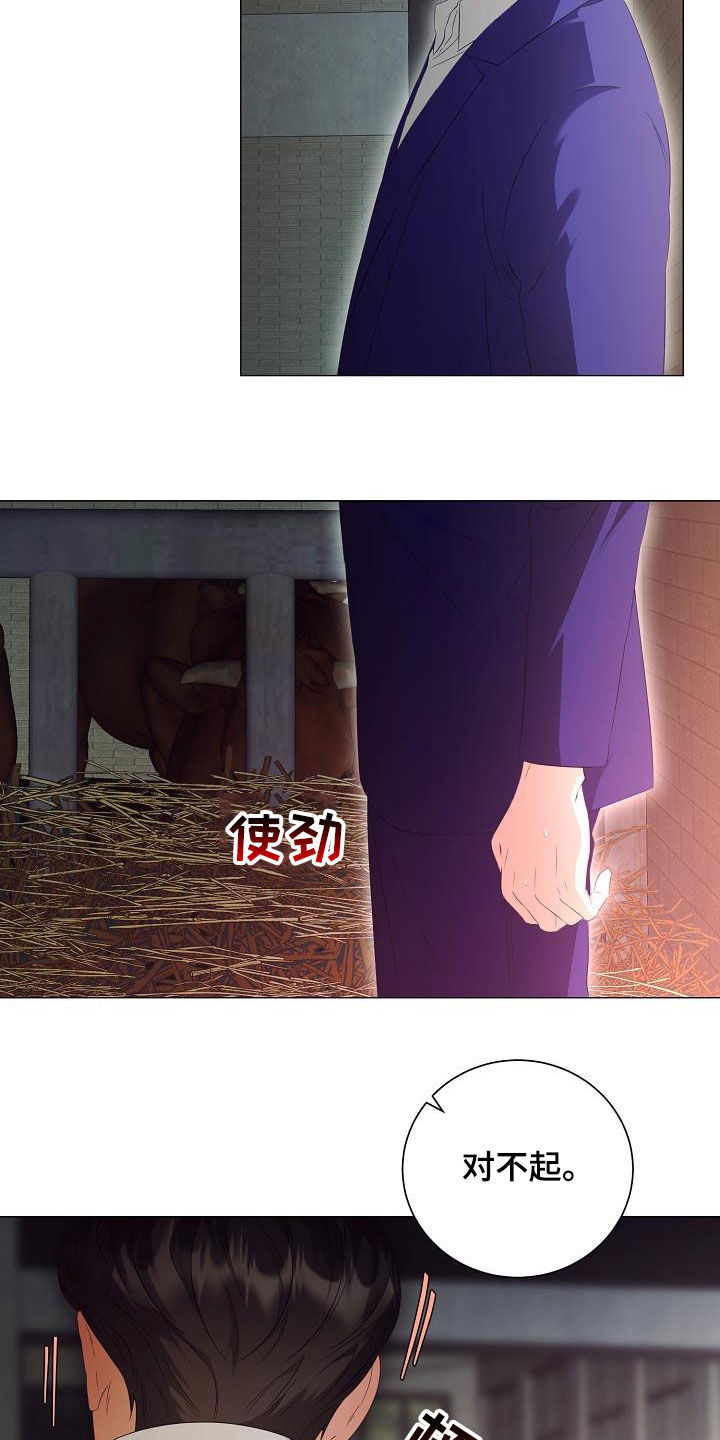 第60章：道歉17