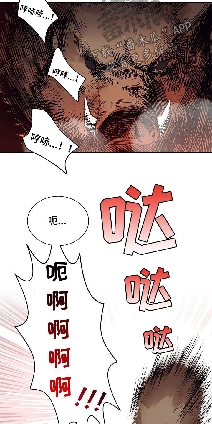 第49章：野猪2