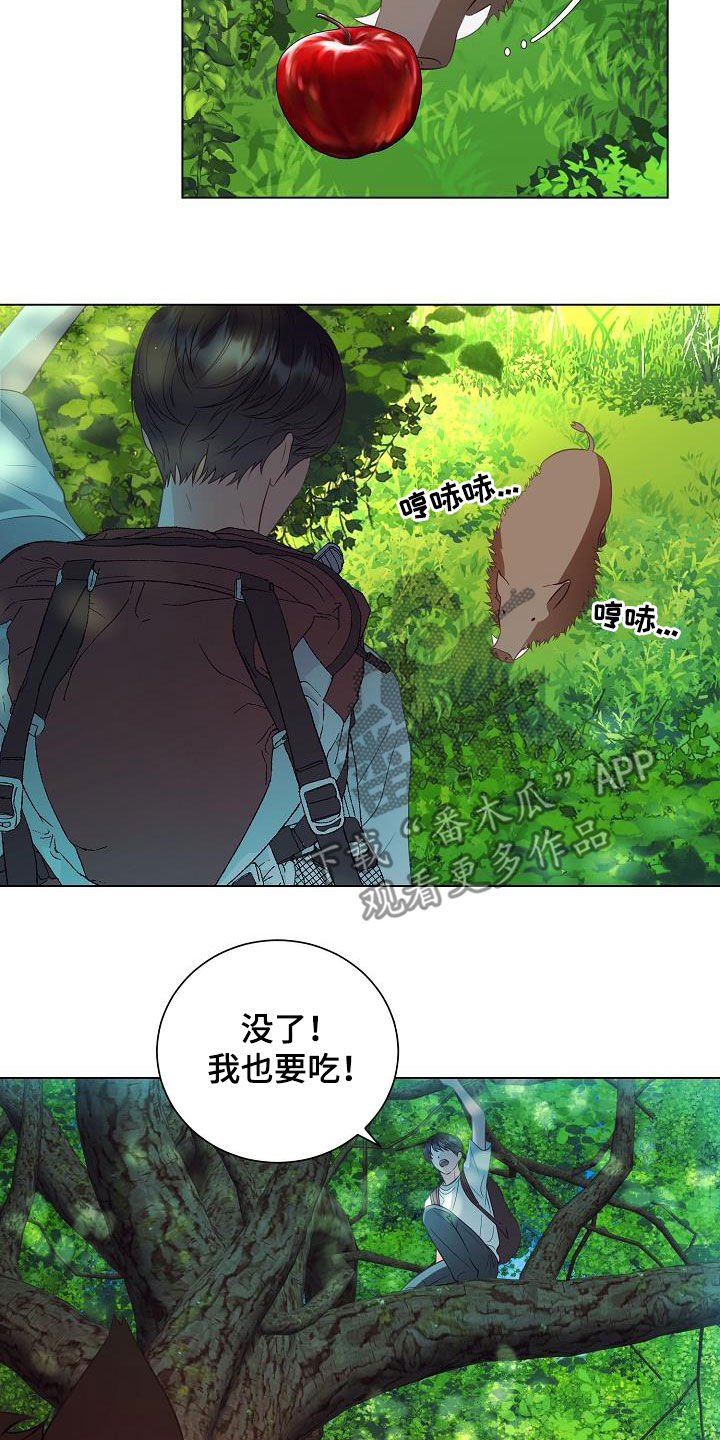第49章：野猪5