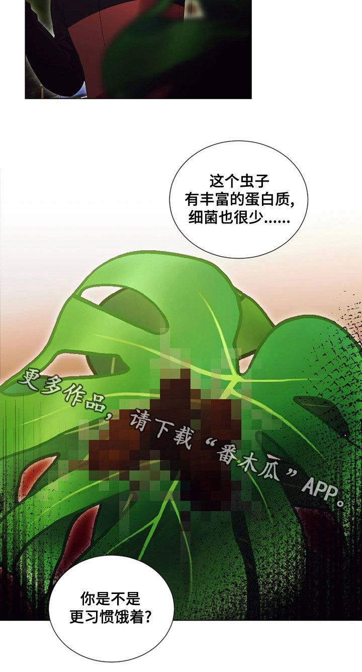 第85章：虫子18