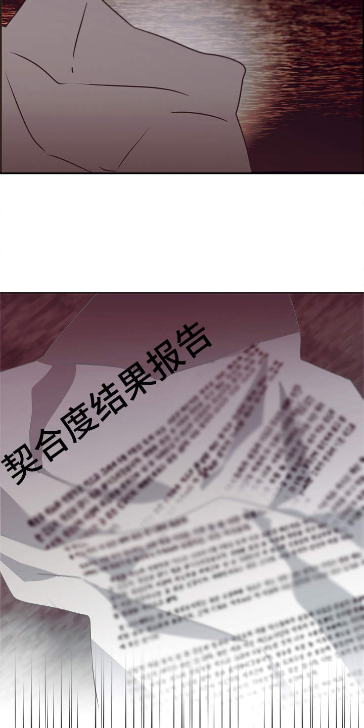 第1章：冒险类型10