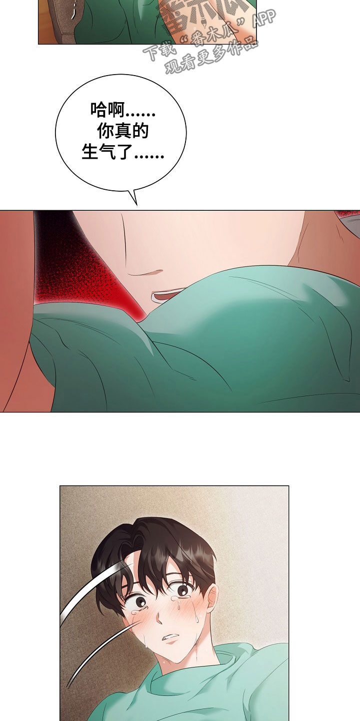 第77章：手册8