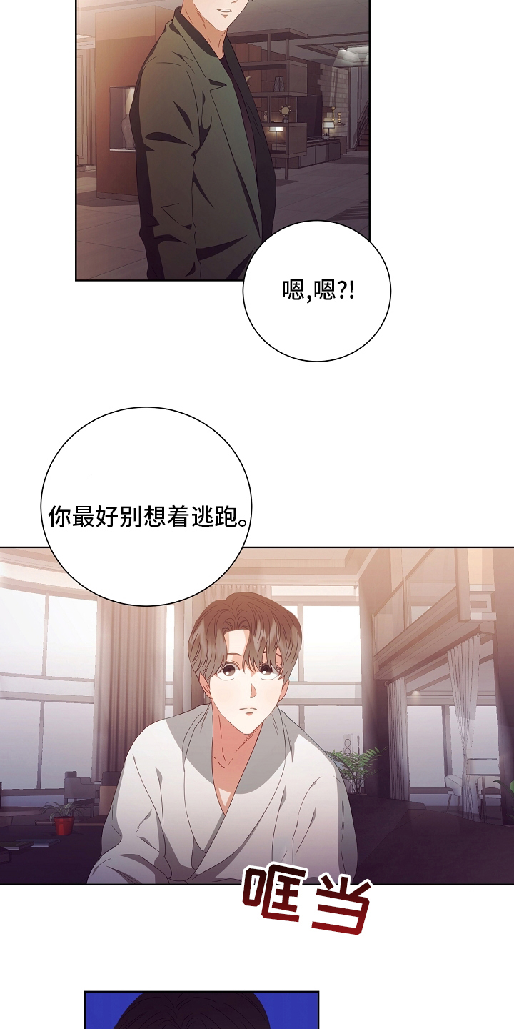第33章：合同13
